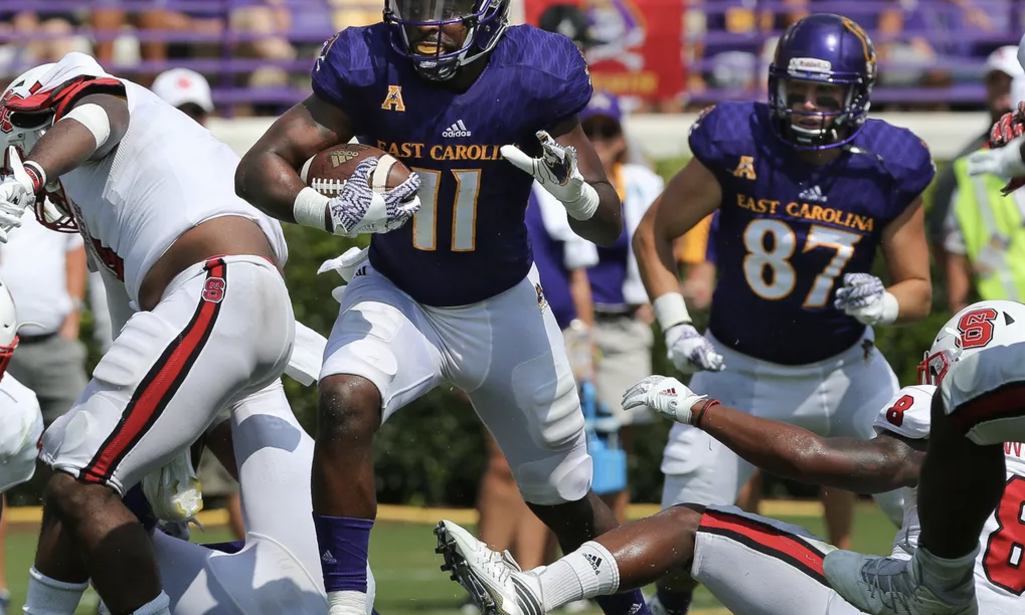 Getting to know the ECU Pirates - Backing The Pack